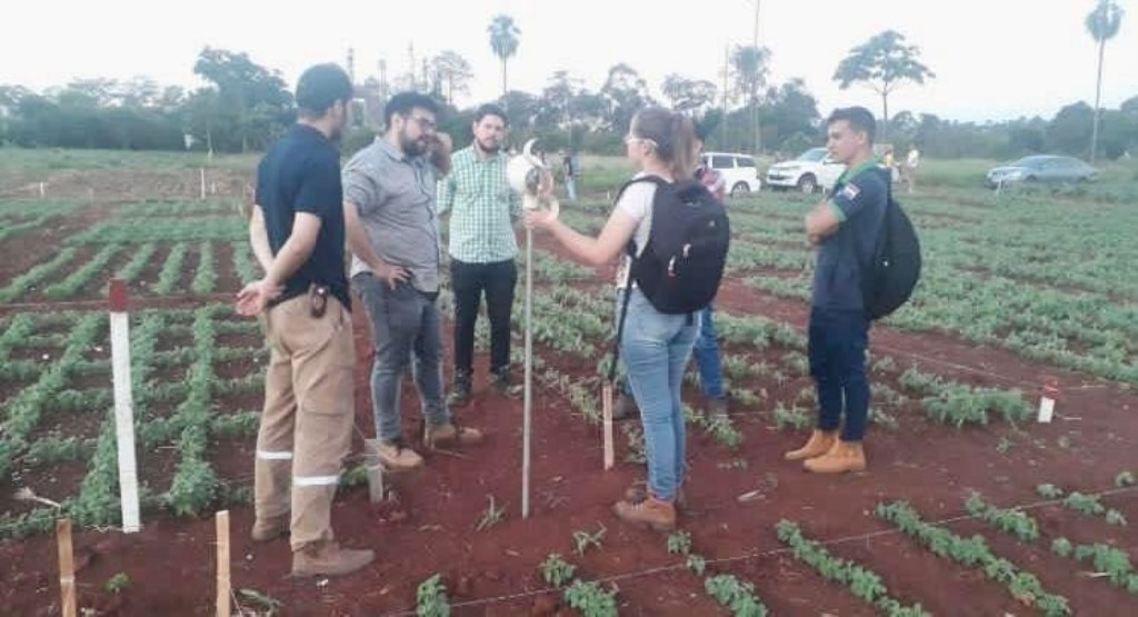 Trabajo en el campo experimental de la facultad de Ciencias Agrarias.